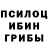 Псилоцибиновые грибы Psilocybe LawnChairSam