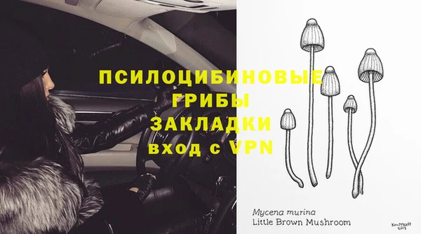 трава Абинск
